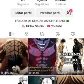 Conta do TikTok - 5,58 mil Seguidores - Nicho Animes