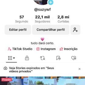Contas Tiktok 22,1 mil Seguidores