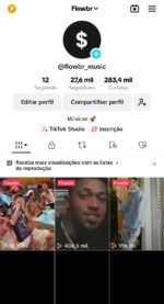 Conta Tiktok 27k Flowbr - Imagem 2