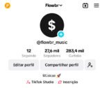 Conta Tiktok 27k Flowbr
