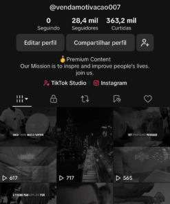TikTok Gringo - 🇬🇧- 28,4k Seguidores 363,2mil Curtidas