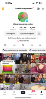 TIKTOK +66K MONETIZADO GANHOS DE 1K dólares - Nicho Felipe Neto | Gameplay