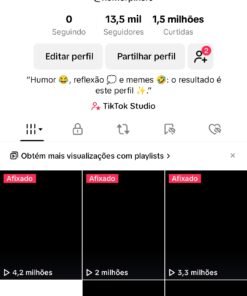 Perfil TikTok de meme 13.500 Seguidores