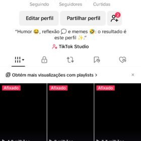 Perfil TikTok de meme 13.500 Seguidores