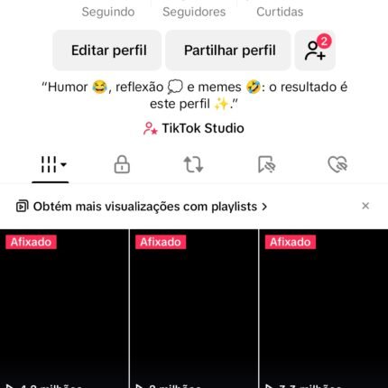 Perfil TikTok de meme 13.500 Seguidores