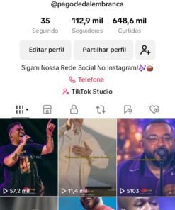 TIKTOK Pagode da lembrança 112.9K Seguidores 648.8K Curtidas