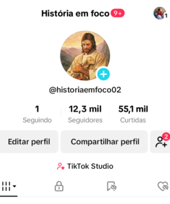 Conta tiktok 12.3K Seguidores 55.1K Curtidas