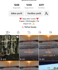 Oportunidade única , tik tok 28 k crescendo muito