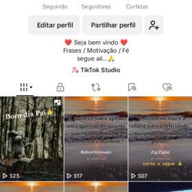 Oportunidade única , tik tok 28 k crescendo muito