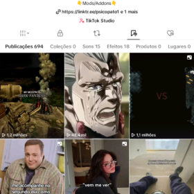 ????CONTA DE TIK TOK COM 369K DE SEGUIDORES!???? ENGAJAMENTO ALTO E MONETIZADA.