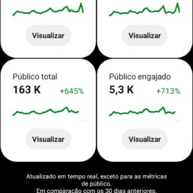 Conta Pinterest com 198 mil visualizações mensais