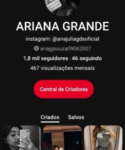 Conta Pinterest - 1,8k