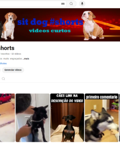 canal de shorts com 500 inscritos (videos de cachorros)
