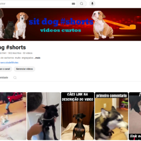 canal de shorts com 500 inscritos (videos de cachorros)