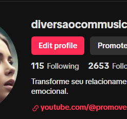 CONTA TIKTOK PARADA 2653 Seguidores 1202 Curtidas