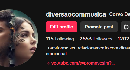 CONTA TIKTOK PARADA 2653 Seguidores 1202 Curtidas