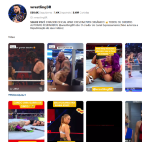 Conta Kwai Monetizada 530k Nicho Esportes de Lutas