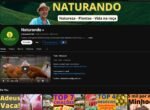 CANAL YOUTUBE MONETIZADO 999K+ SUBS |+130 MILHÕES DE VIEWS | NICHO AGRONEGÓCIO & NATUREZA | QUASE 1 MILHÃO DE INSCRITOS ????????