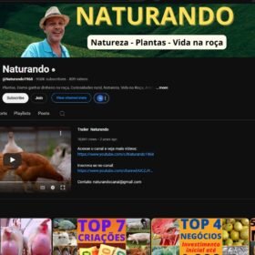 CANAL YOUTUBE MONETIZADO 999K+ SUBS |+130 MILHÕES DE VIEWS | NICHO AGRONEGÓCIO & NATUREZA | QUASE 1 MILHÃO DE INSCRITOS ????????