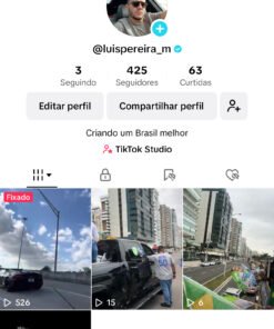 TikTok 386 Seguidores - Verificado