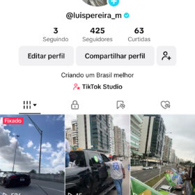 TikTok 386 Seguidores - Verificado