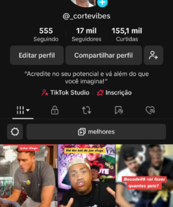 CONTA TIKTOk 17K Seguidores 155.1K Curtidas