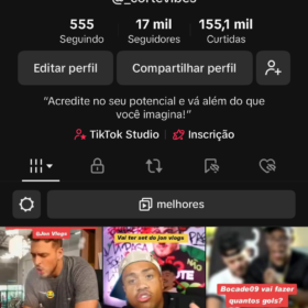 CONTA TIKTOk 17K Seguidores 155.1K Curtidas