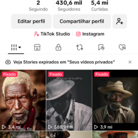 TIKTOK 430K Seguidores 5.6M Curtidas / MONETIZADO