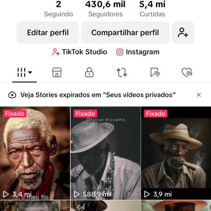 TIKTOK 430K Seguidores 5.6M Curtidas / MONETIZADO