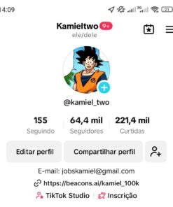 Perfil no tiktok com 64 mil