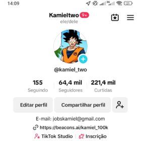 Perfil no tiktok com 64 mil