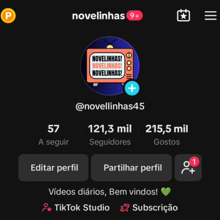 Conta de Tik Tok 121K Altamente Engajada Monetizada