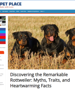 💰BAIXAMOS O PREÇO💰BLOG 100% AUTOMÁTICO💰COMO VC NUNCA VIU - TEMA PET, NOME CAMPEÃO, OPORTUNIDADE DE RENDA EM DÓLAR💵