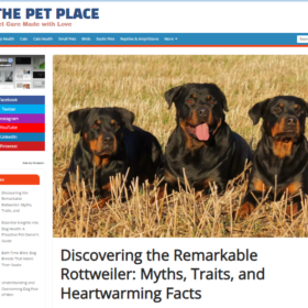 💰BAIXAMOS O PREÇO💰BLOG 100% AUTOMÁTICO💰COMO VC NUNCA VIU - TEMA PET, NOME CAMPEÃO, OPORTUNIDADE DE RENDA EM DÓLAR💵