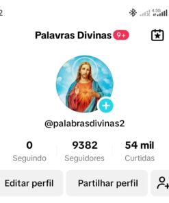 PERFIL