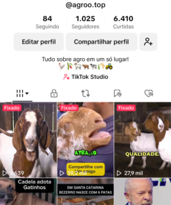 TikTok com 1000 seguidores bem enganjado (nicho promissor e fácil de criar conteúdo)