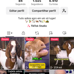 TikTok com 1000 seguidores bem enganjado (nicho promissor e fácil de criar conteúdo)