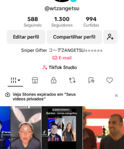 Conta TikTok level 33 com 1300 seguidores