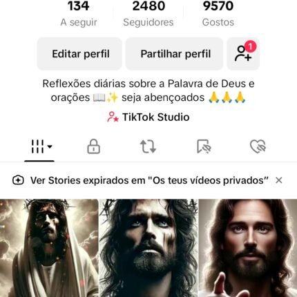 Conta tikTok BR 2400 Seguidores
