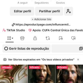Tik Tok monetizado 56.3K Seguidores 216.3K Curtidas