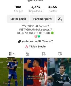 Conta de Tiktok 4,300 seguidores