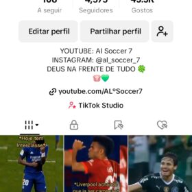 Conta de Tiktok 4,300 seguidores