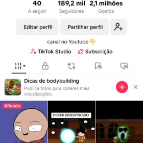 VENDO PERFIL NO TIKTOK 190K ALCANCE MUITO BOM