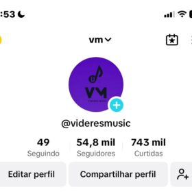 conta tiktok 55k seguidores 750k curtidas