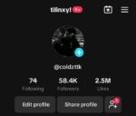 Conta Tiktok Monetizada Com + de 58.4K de seguidores e + de 2.5M de curtidas!