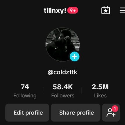 Conta Tiktok Monetizada Com + de 58.4K de seguidores e + de 2.5M de curtidas!