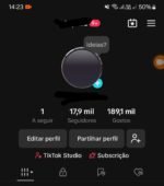 CONTA TIKTOK MONETIZADA - 18K SEGUIDORES REAIS - +2,6 MILHÕES DE VIEWS