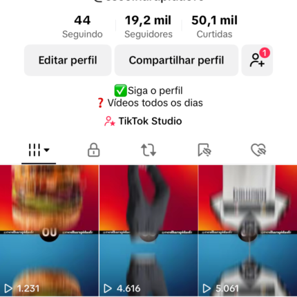 Perfil Tiktok MONETIZADO 19k seguidores, sem restrições