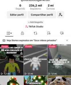 Conta Tiktok Roblox - Brookhaven 236.1K Seguidores 2M Curtidas