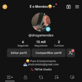 Tiktok +15k seguidores reais